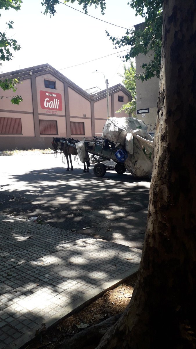 BelvedereGatos's tweet photo. 12:00 hs
29 Grados
Todo eso q lleva, mas 2 hombres con un peso promedio de 80k cada uno.
Plata para sacarlos a todos de la calle nunca hay, no importa el color del partido. Pasan los años y nadie hace nada para que estos carros no anden mas en las calles!! https://t.co/V4IGzChpLl