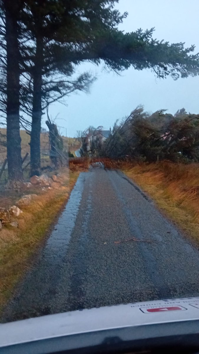 HighlandCouncil's tweet photo. U1204 Upper Badcall, #Scourie. Tree blocking road and high winds affecting adjacent trees. Currently, it is too dangerous to clear, so our team will reassess once the wind abates. https://t.co/7ypGnyaD3e