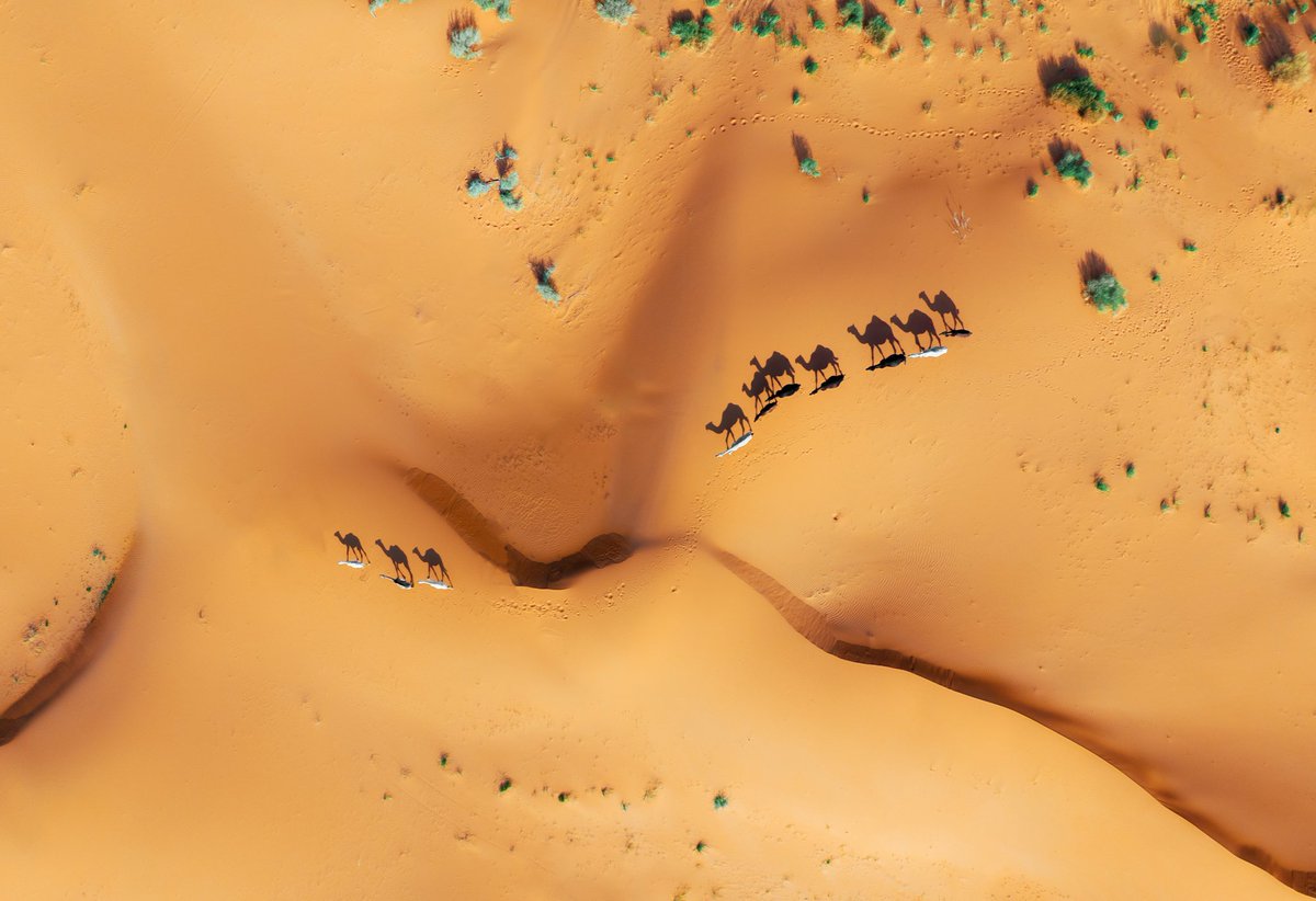 SaudiMagazine's tweet photo. Photo by @ADEEBALHAMMAD  #SaudiArabia https://t.co/pGY4pJYVPs