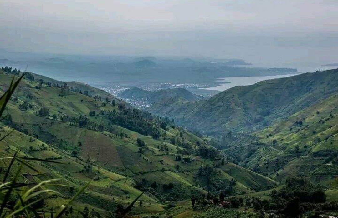 AlainBuyambi1's tweet photo. Wazalendo✊🏿🇨🇩🇨🇩✊🏿🔥; RDF/M23 remplis d’excès de zèle, ont essayé de prendre #Sake et #Rubaya, ils ont rencontré la rage du feu 🔥 dévorant des jeunes patriotes. Ainsi #Bunyole, #Matanda, #Chez_Baufin, et #Ngingwe passe sous contrôle des jeunes patriotes. https://t.co/XtJPJTRvRn