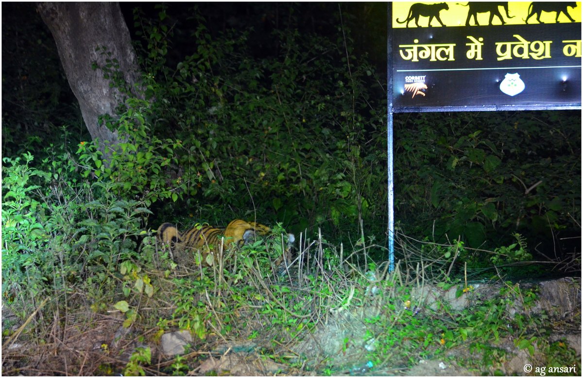 Read & Respect the Signage when travelling in Forest...Respect the Wildlife..@ReserveCorbett