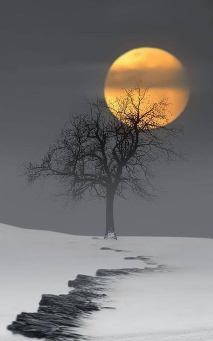 arkanl_neriman tweet picture