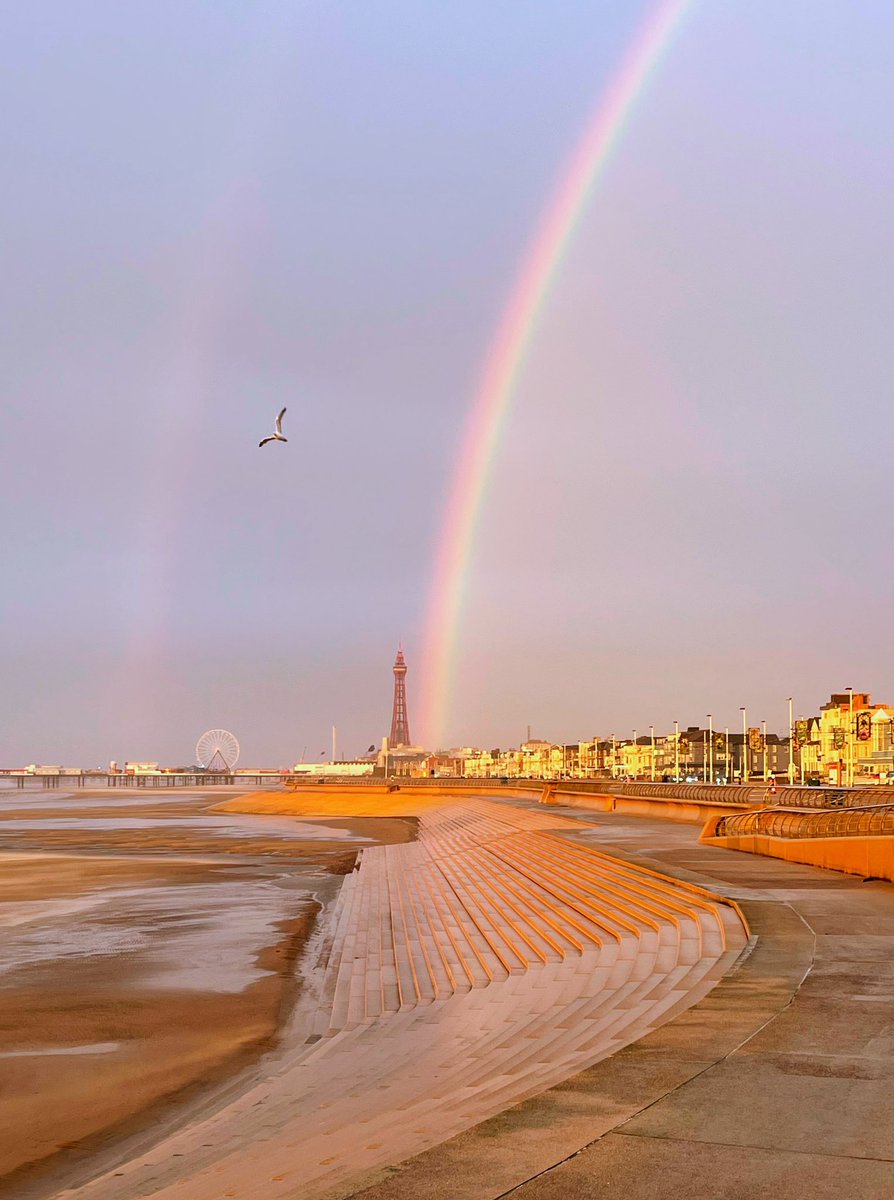 📷 L.B Photography 📷 tweet media