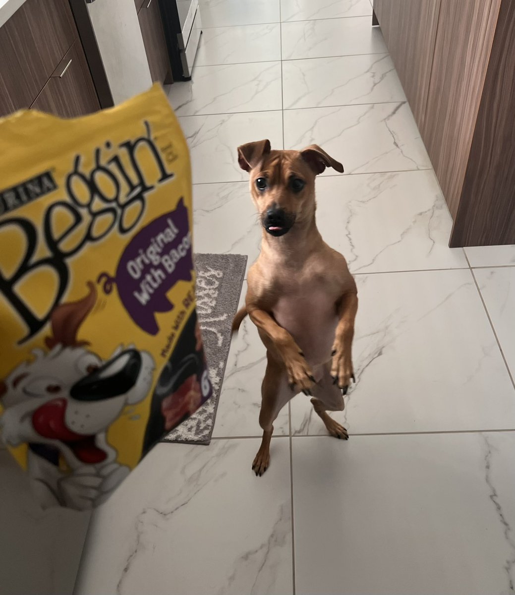 MagentaHorror tweet media