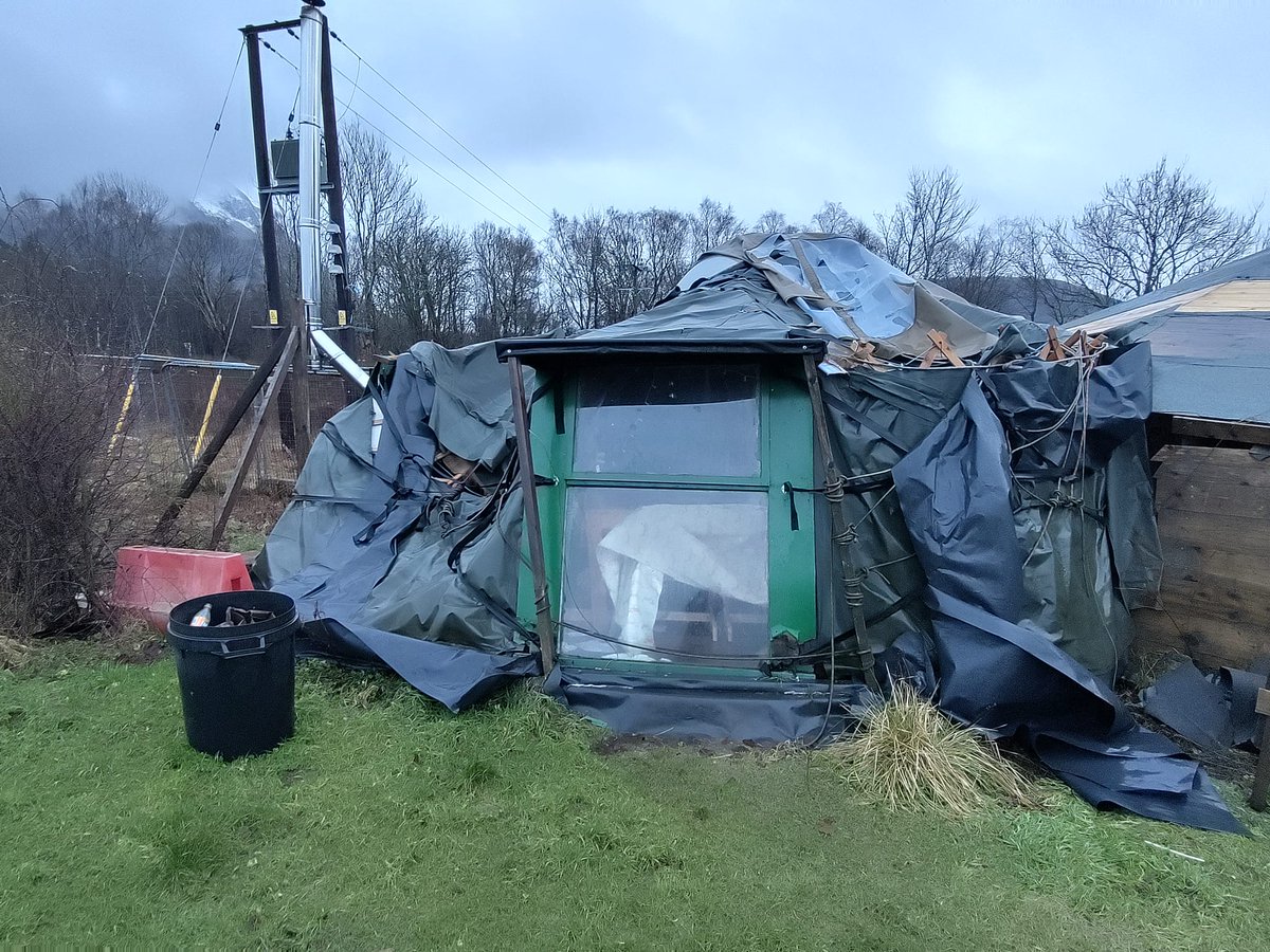 Cameron Sprague tweet media