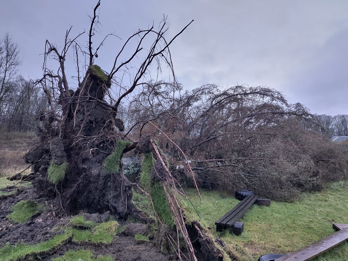 Cameron Sprague tweet media