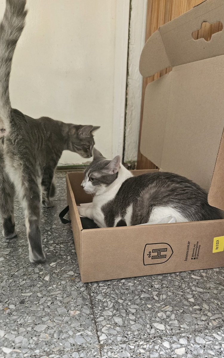 Si no me quisiste así / no me busques cuando este así