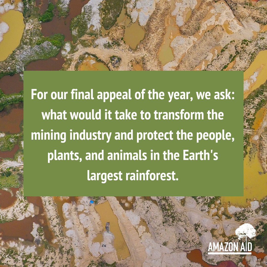 AmazonAidF's tweet image. Amazon Aid is dedicated to an Amazon free of destructive mining practices where people have access to safe, dignified livelihoods and ecosystems thrive.

Donate today: amazonaid.org/donate/