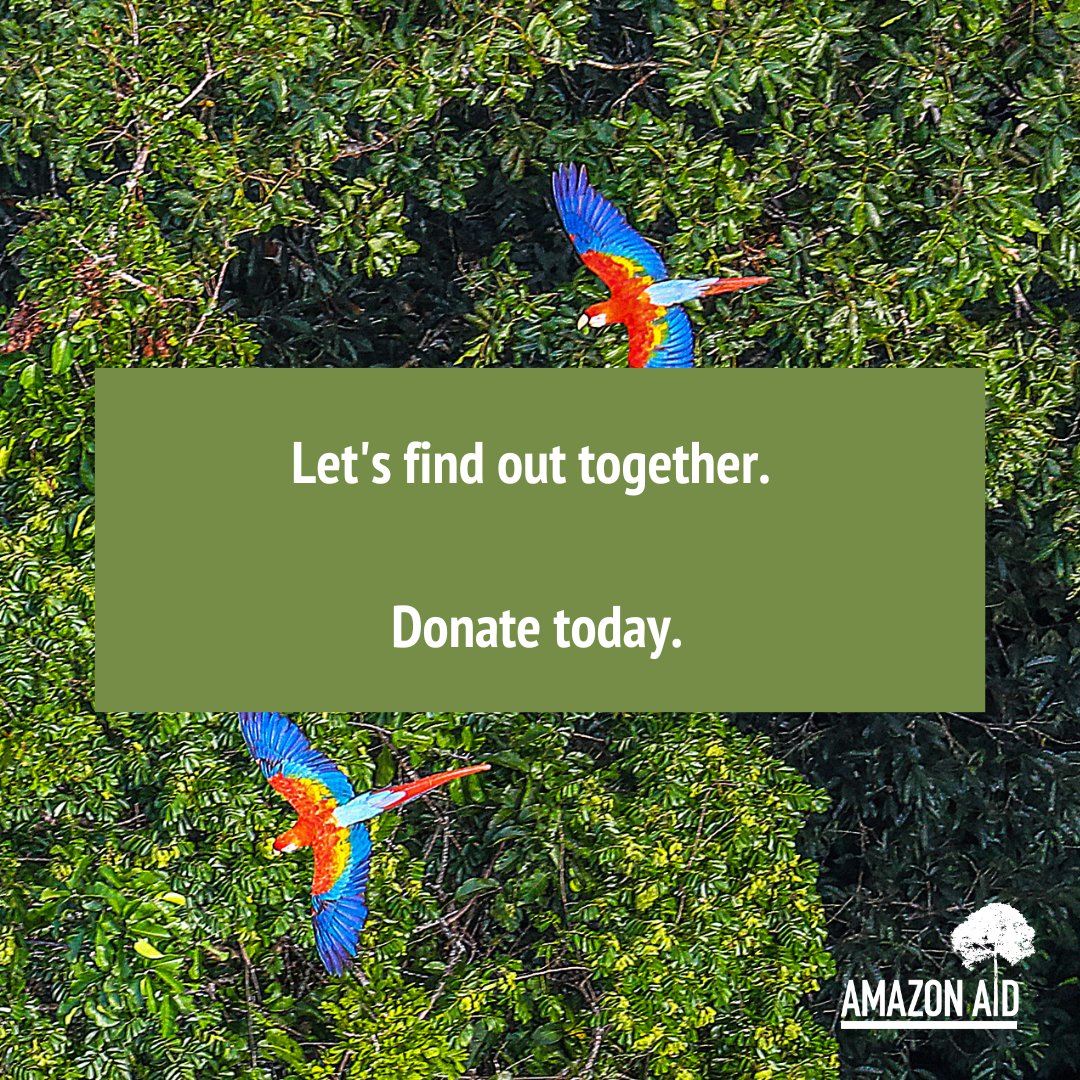 Amazon Aid is dedicated to an Amazon free of destructive mining practices where people have access to safe, dignified livelihoods and ecosystems thrive.

Donate today: amazonaid.org/donate/