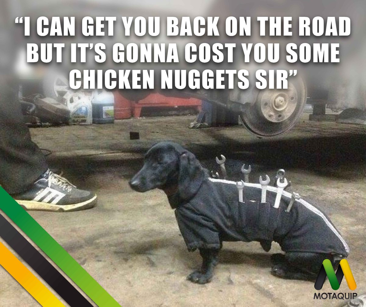 We could go for some chicken nuggets to be fair, it must be at least an hour since we last ate. Got to keep up the holiday consumption regime, right?! 😜✨🐾