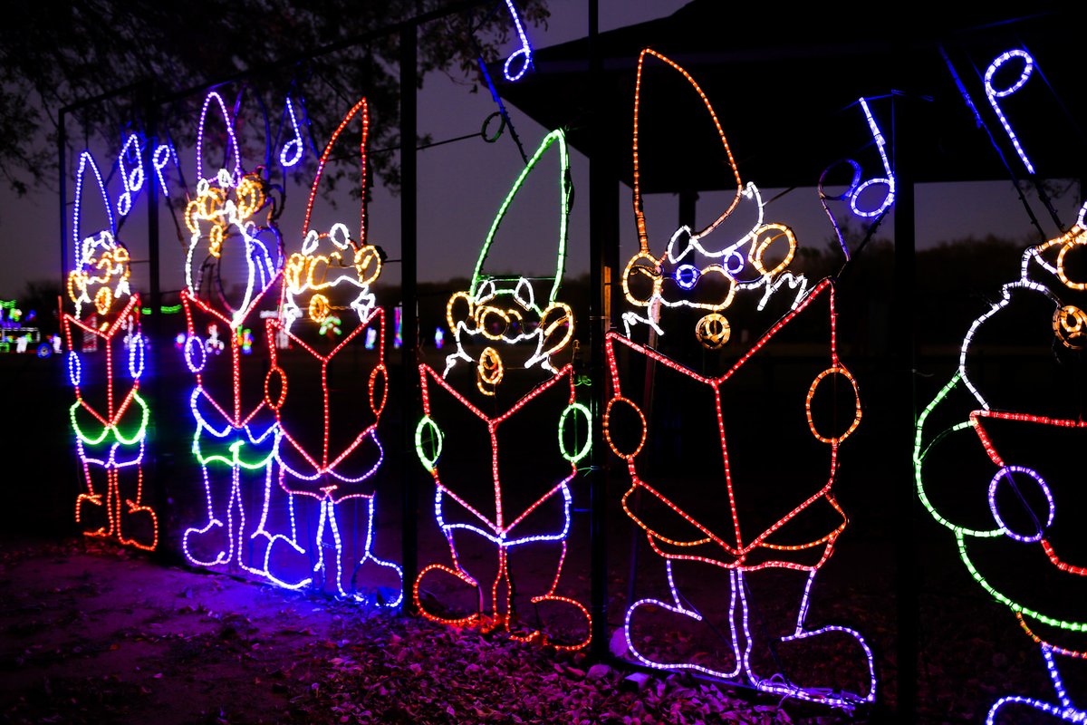 Prairie Lights tweet media