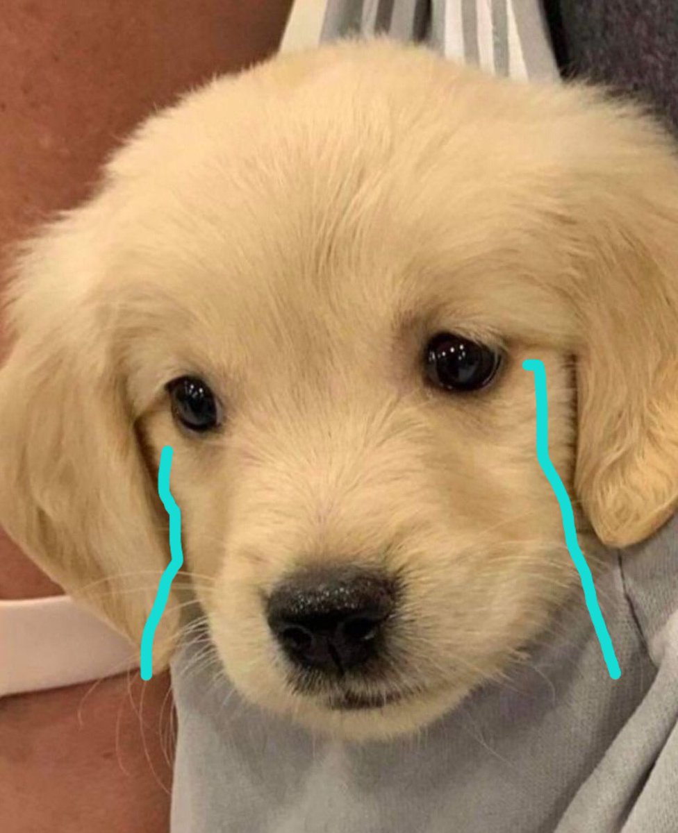 takemybear 🐶 tweet media