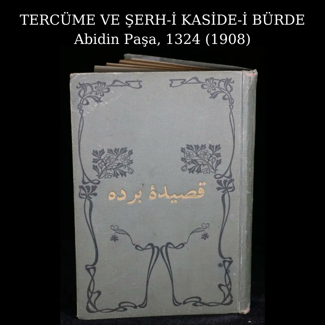PeyderpeyM's tweet photo. https://t.co/cPFzpmf8d6