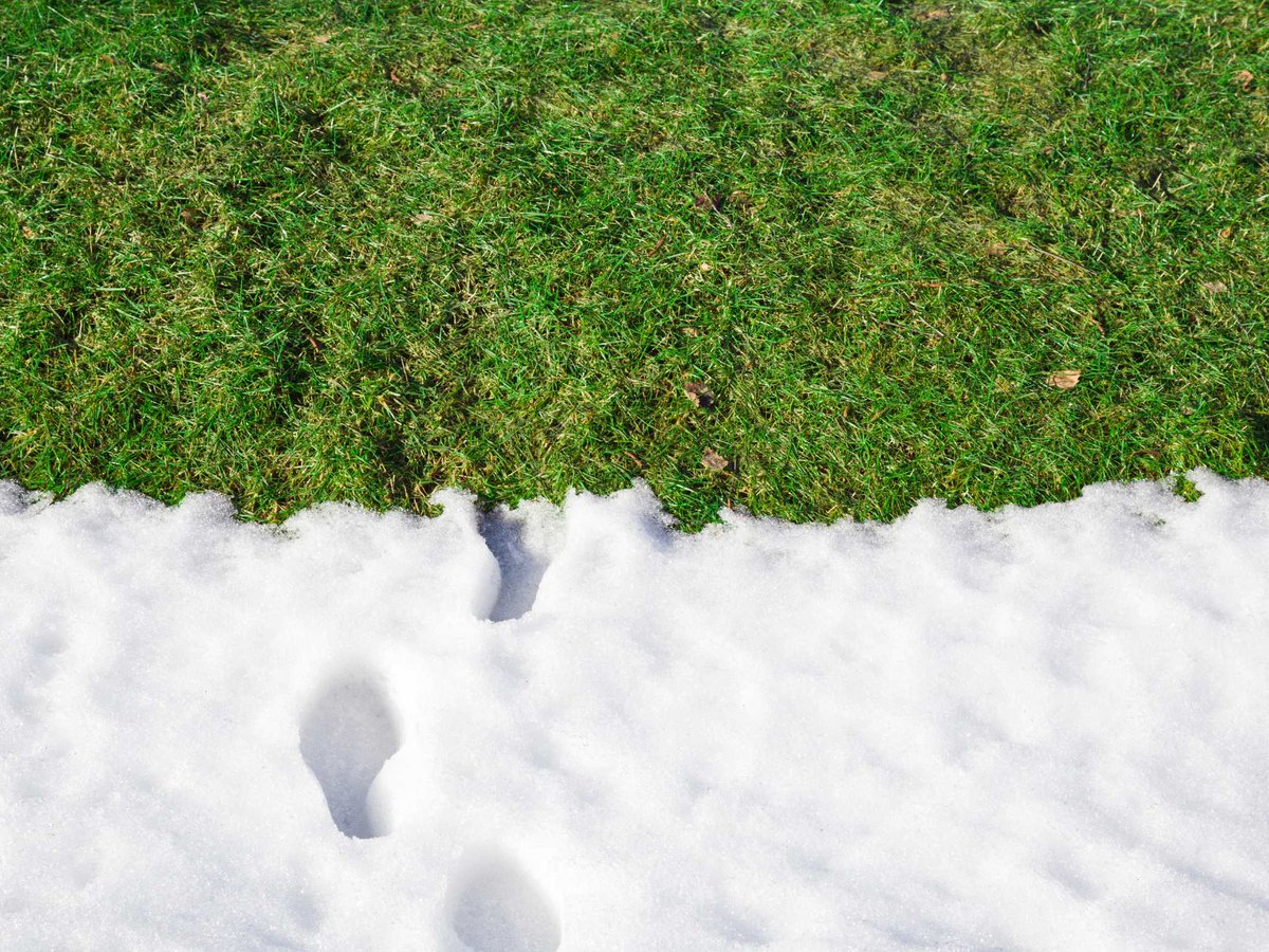 BoschLandscape's tweet photo. ☃️ Winter lawn indulgence: Pamper it with a slow-release fertilizer. Your grass deserves a nutrient boost, even in the colder months. Think of it as a spa day for your lawn! #FertilizeBliss #WinterFeast
https://t.co/CveWEek2wS https://t.co/9VoOagIVco