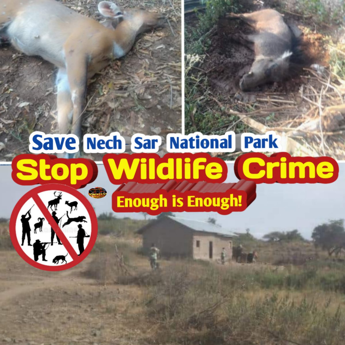 #jointhechallenge 
#Stop_illegal_farming 
#Stop_animal_Crime 
#Save_Nech_Sar_National_Park
#EnoughIsEnough 
#ethiopianwildlife 
@AbiyAhmedAli @SahleWorkZewde @UNESCO @UNEP