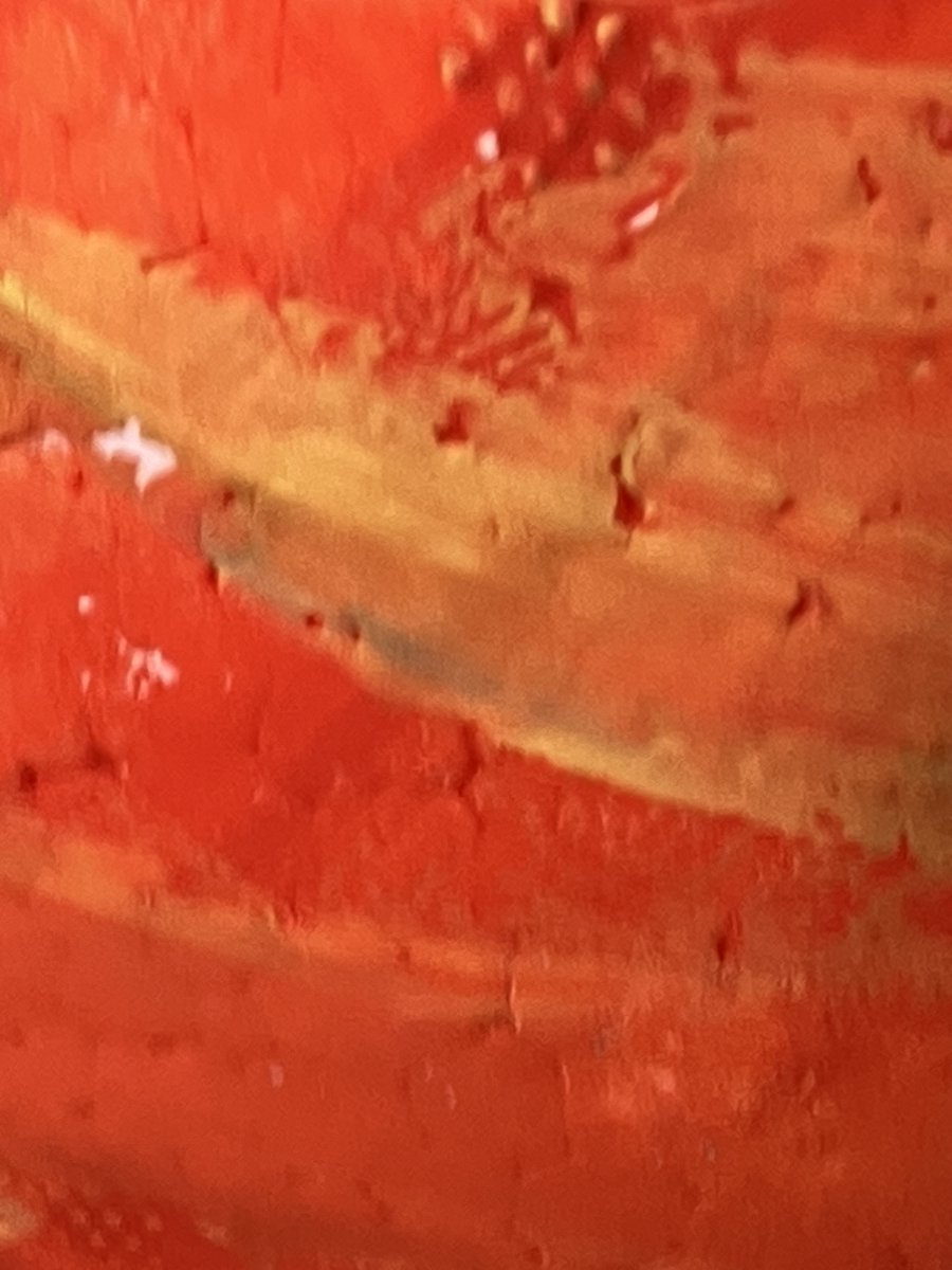 AlessandroForn6's tweet photo. MY PAINTING, "THE TONE OF E FLAT MAJOR " 2023 #art #arttwit #artlover #classical #ClassicalMusic
@AlessandroForn6 #tone #tonalità
#hue #AleFornero #arte #ArtLovers #EflatMajor #tonality #tonalism #semotics #transcoding #gesture #MiBemolleMaggiore #Eflat https://t.co/MvjStXzxtR