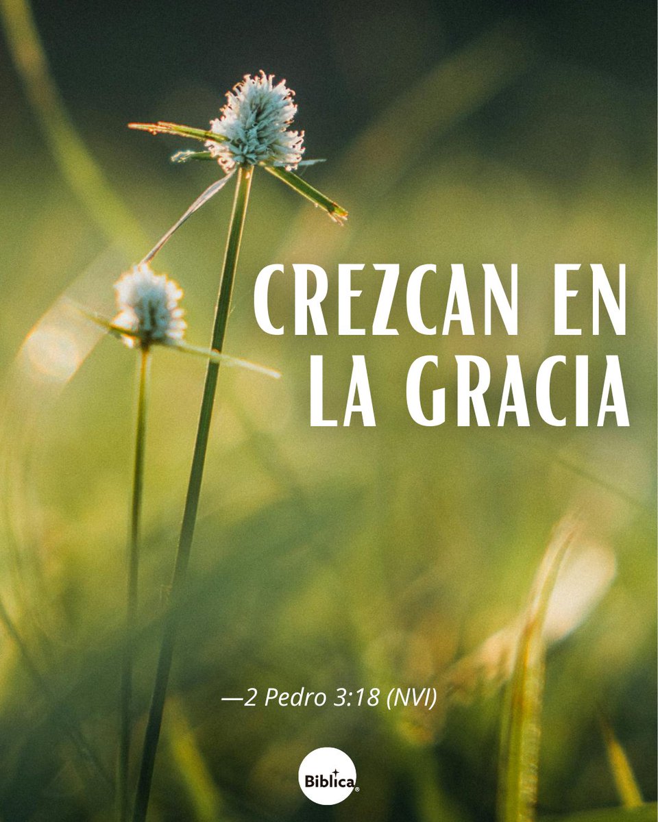 «Más bien, crezcan en la gracia y en el conocimiento de nuestro Señor y Salvador Jesucristo. ¡A él sea la gloria ahora y para siempre! Amén». 2 Pedro 3:18 #VersículoDiario #BibliaNVI #LaBiblia