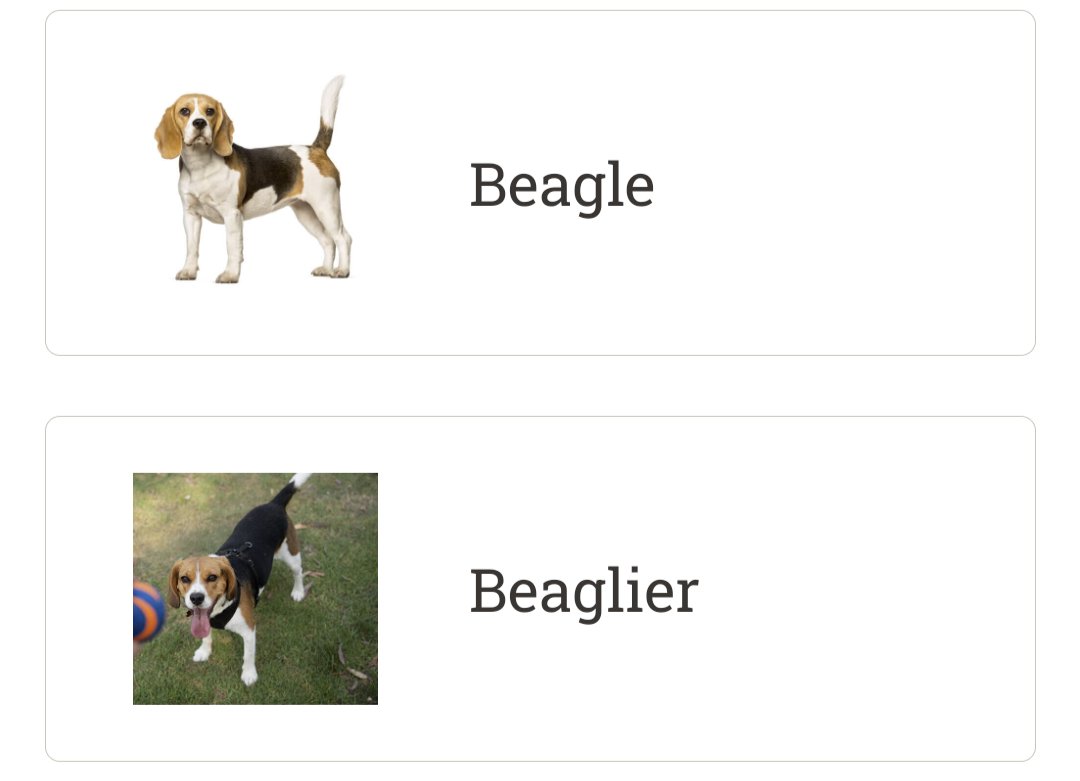 Beagle, Beaglier, Beagliest