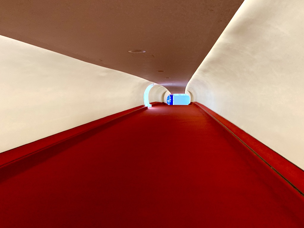 BirderDaniel's tweet photo. #photography #red https://t.co/Hq9upc0Ph1