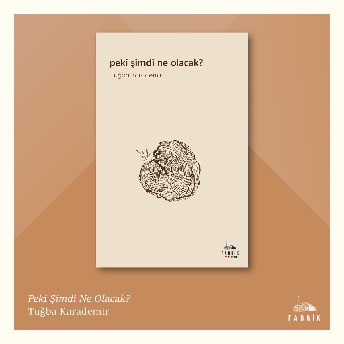 Fabrik yılın son kitaplarını gururla sunar! 🎈

#şeymasubaşı #çiçeklibirgülümseyiş #öykü #serdaraydın #medlerceninlerazizler #şiir #ruhsatsız #tuğbakarademir #pekişimdineolacak #deneme