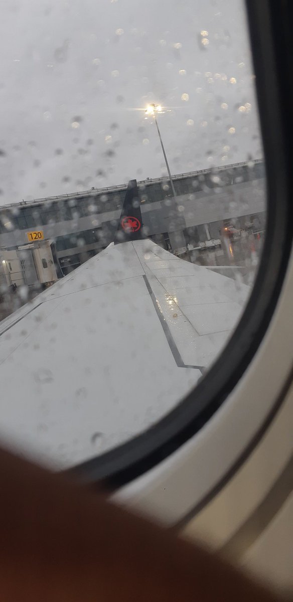 Toronto  I am in you