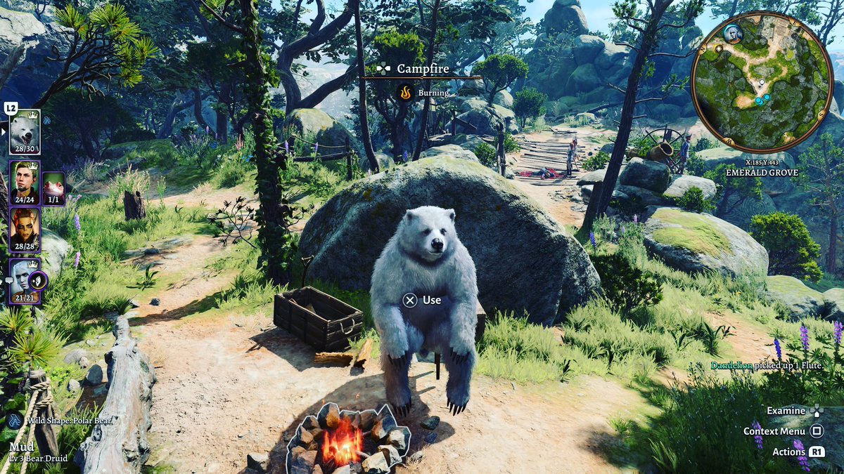 FangXGames's tweet photo. I found it funny that after I wild shaped to a bear that I could still sit on the chair. #bg3 #baldursgate3 #dnd #druid #wildshape #ps5 #videogame #rpg #playstation5 #bear #polarbear #whitebear https://t.co/eoeEWTqDrr