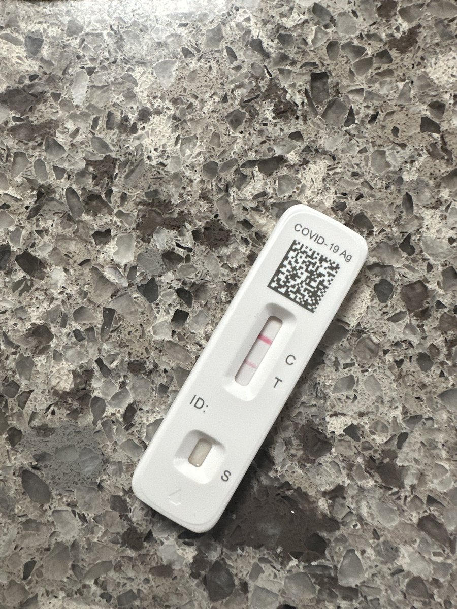 Michelle Rose tweet media