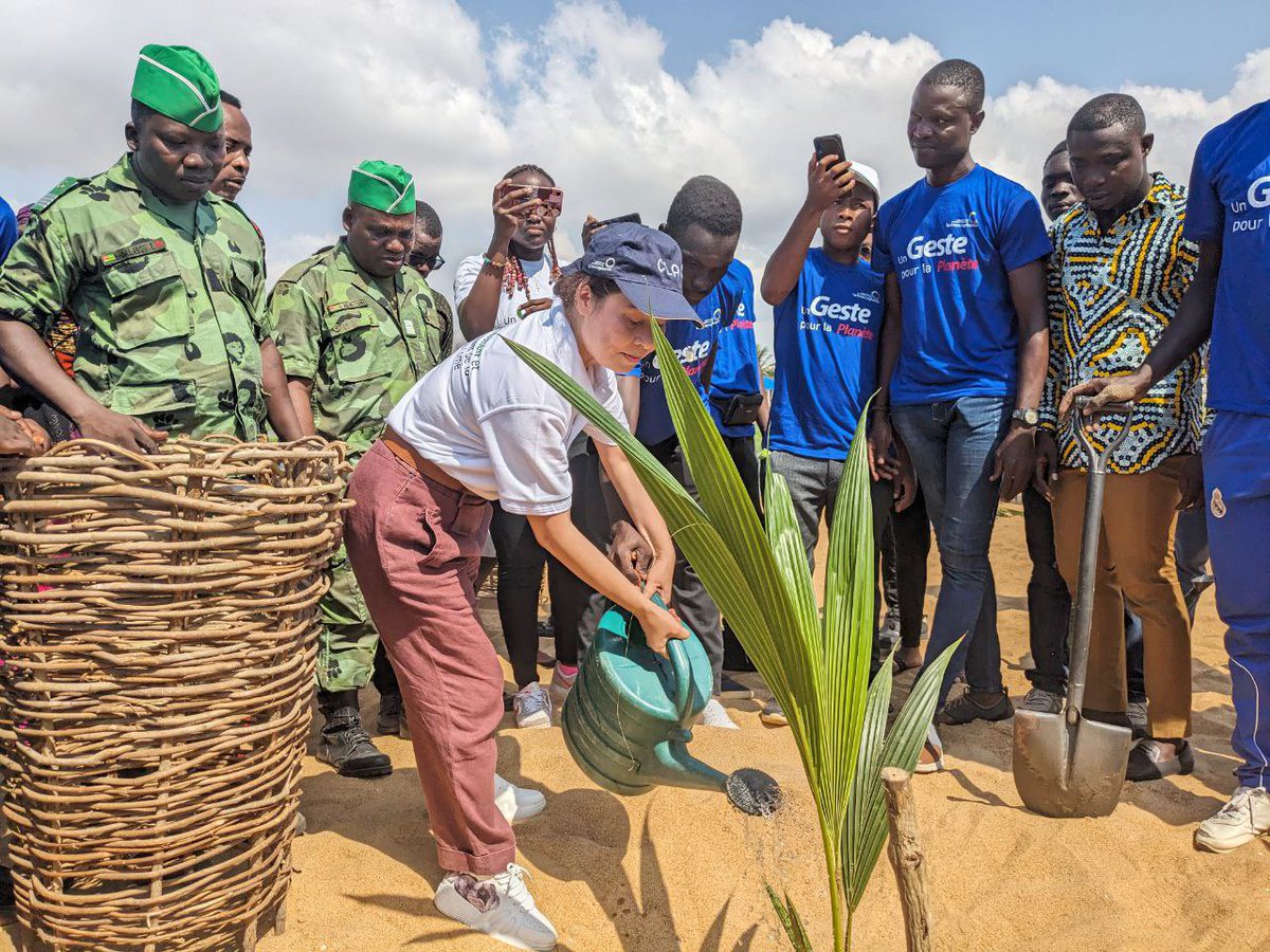 OureyaRaissa's tweet photo. #un #Geste #pour #la #planete coconut seedlings put underground at Lomé beach 
@OIF activity carried out by @jeunesvertsong in partnership with many other local structures https://t.co/5wbOqfXSWa