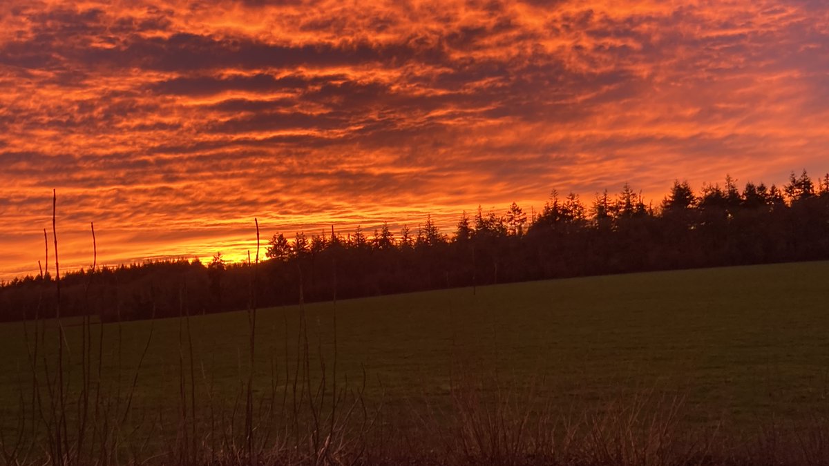 NFU Mutual North Dorset tweet media