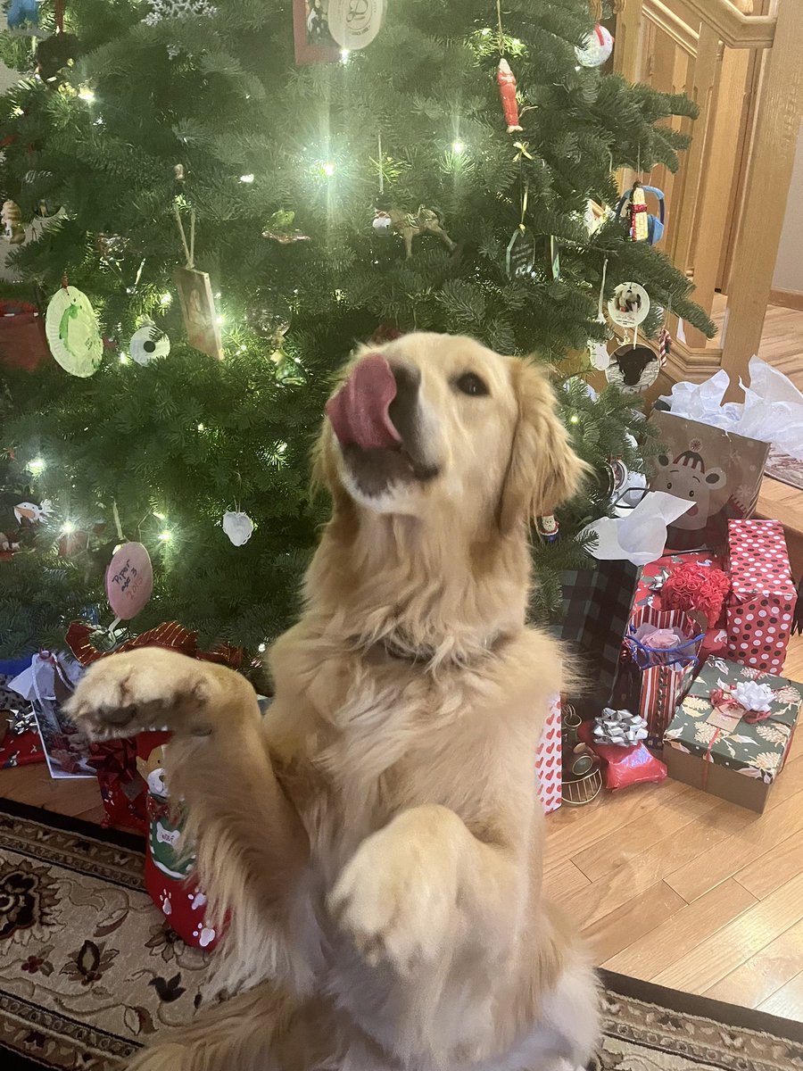 Mark Hass tweet media