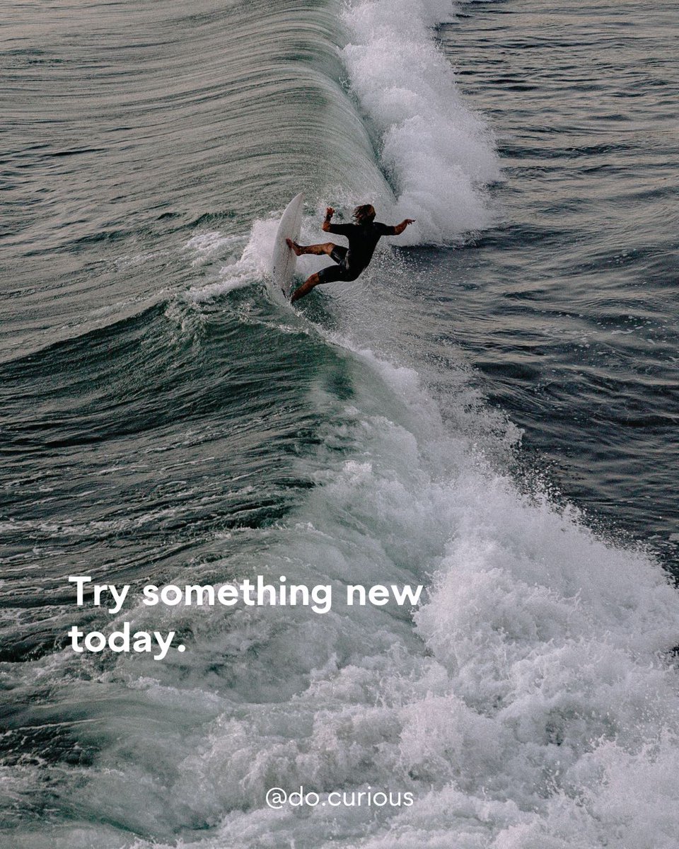 curious_do27's tweet image. When's the last time you tried something new that you've never done anything before? ⁠
⁠
Drop a ⭐️ in the comments if you're ready to get yourself out there and try more new things in 2024!⁠