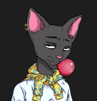 NOTCHICKS tweet media