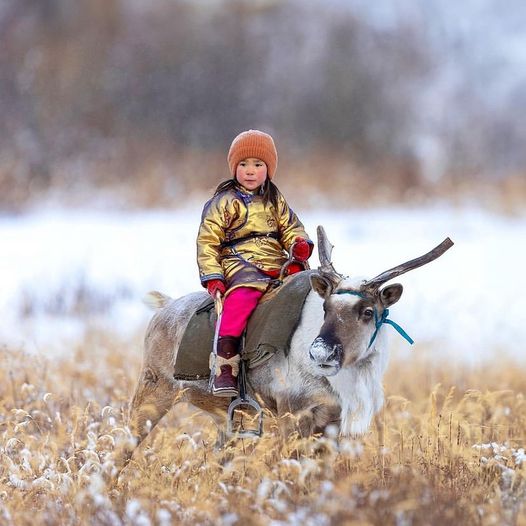 Merry Christmas from #Mongolia!

Horse riding with Mongolian nomads
yellowwoodadventures.com/adventures/mon…

Mongolia's Naadam Festival at Lake Khovsgol
yellowwoodadventures.com/adventures/mon…

Mongolia Sagsai Eagle Festival
yellowwoodadventures.com/adventures/mon…