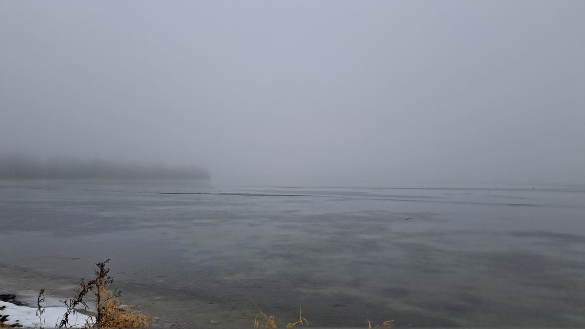 BREAKING NEWS! 
Canadian authorities have called off the search for Pierre Poilievre and his  election platform due to thick fog and no evidence that a CPC election platform actually exists.  PM Justin Trudeau sends his thoughts and prayers.