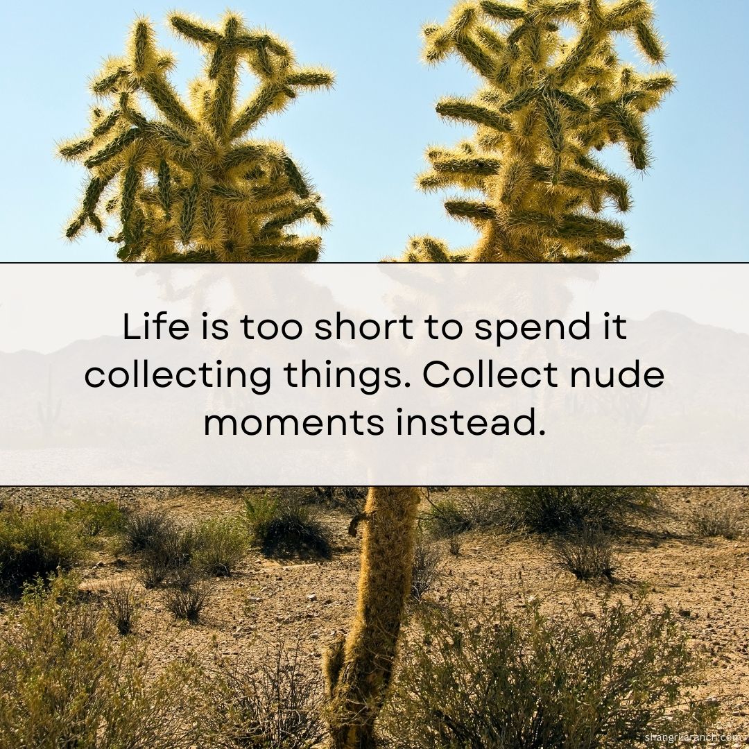 Why pursue material possessions when you can cherish life's greatest moments? 🤩 Collect #nudemoments and start living life to its fullest! #LifeIsShort #CollectMemories Relish in the beauty of it all. shangrilaranch.com