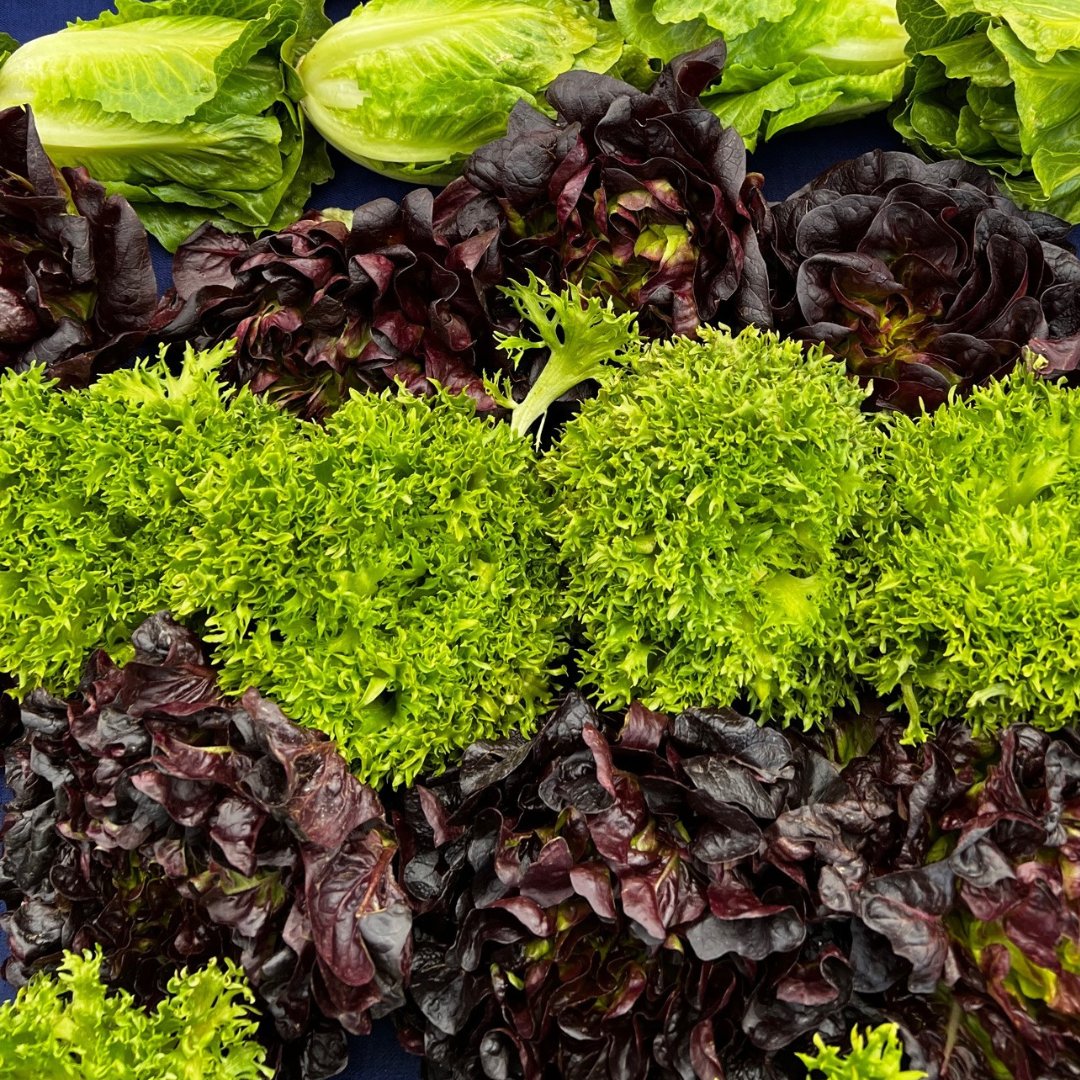 Worldwide Produce tweet media