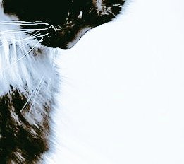 Remember
First you need your soul.

Don't sell it for fame, money, power or beauty. 

It's really all you truly

Own.

#Soul #Positivity #Wisdom #Motivation #Happy2024 #Wellness