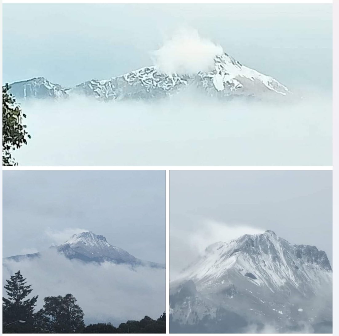 ⭕️ #BlancaNavidad | ¿Así amaneció en La Malinche?… Circulan fotografías en redes sociales de lo alto de nuestra montaña, ante el descenso de temperatura y lluvia. Una nevada más.
