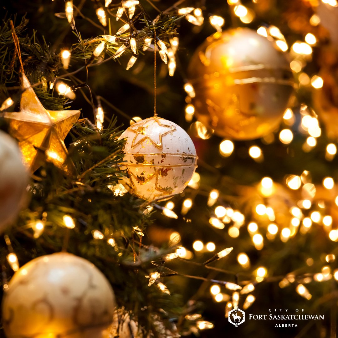 CityFortSask's tweet photo. Hurry! Fort Saskatchewan's Enchanted Forest won't be magical forever. Open until January 7th – catch the holiday spirit before it packs up and leaves town.

Learn more : https://t.co/HWeftUN4Fi https://t.co/vchhcqeVJz