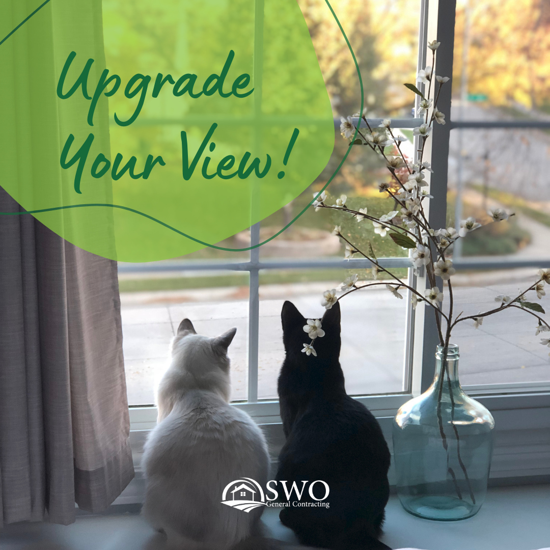 swocontracting's tweet image. Upgrade your view with help from SWO contracting! We offer window renovations and repairs, so you (and your furry friends) can enjoy the view. 🪟✨

Contact us today to get started. 
📞 (226) 333-9912

#windowrepairs #windowinstallations