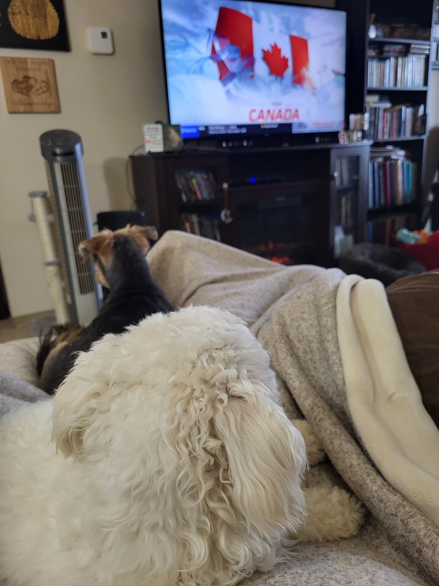 Toby and Milo on my lap; we are getting ready to watch @KidNelly89 and Team Canada play at the #WorldJuniors Best birthday gift I could ever ask for!