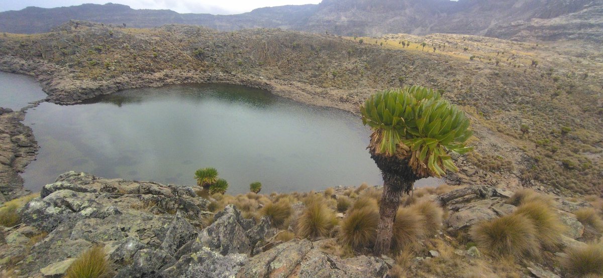 Privics's tweet photo. @stellamarismega @DiscoverTNC @magicalkenya @augustinevickie @DaviesKinanga @ToskKenya @KWSKenya @Stejos_Tours I can name and take you to 30 lakes and tarns. https://t.co/wohedCzNLm