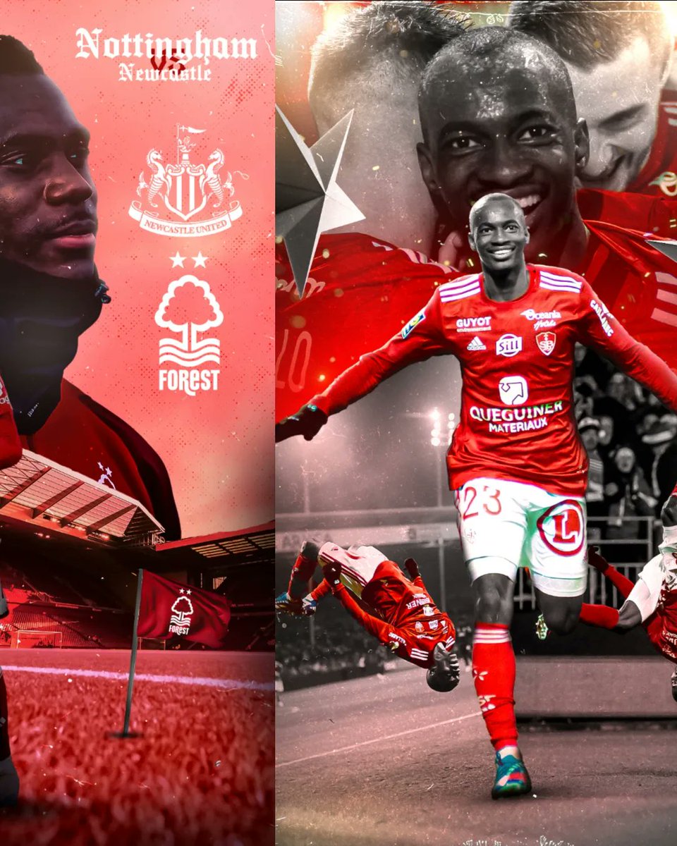 HG Visual tweet media