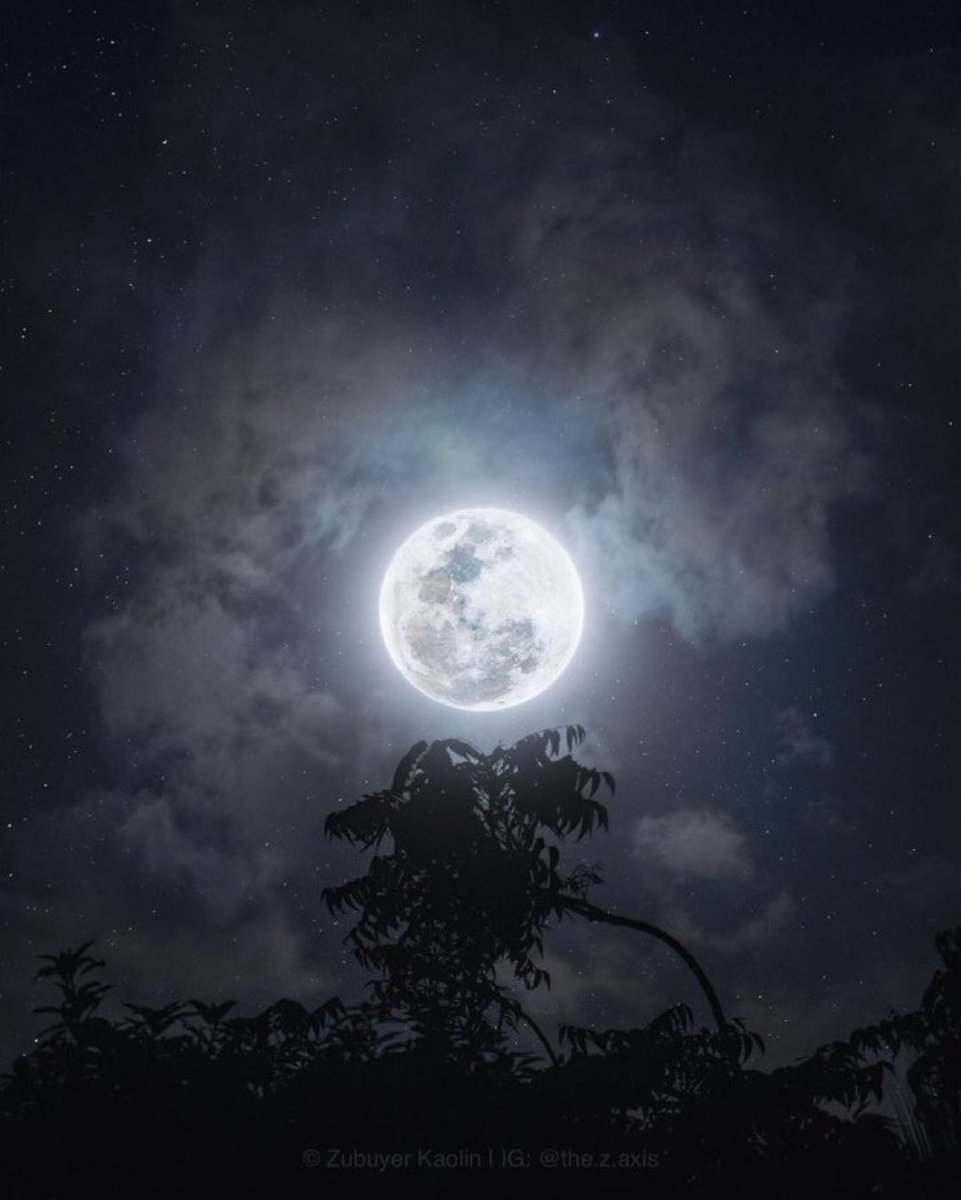 ViralTodayX's tweet photo. Moon Lovers . . . https://t.co/cKat1jzSWs