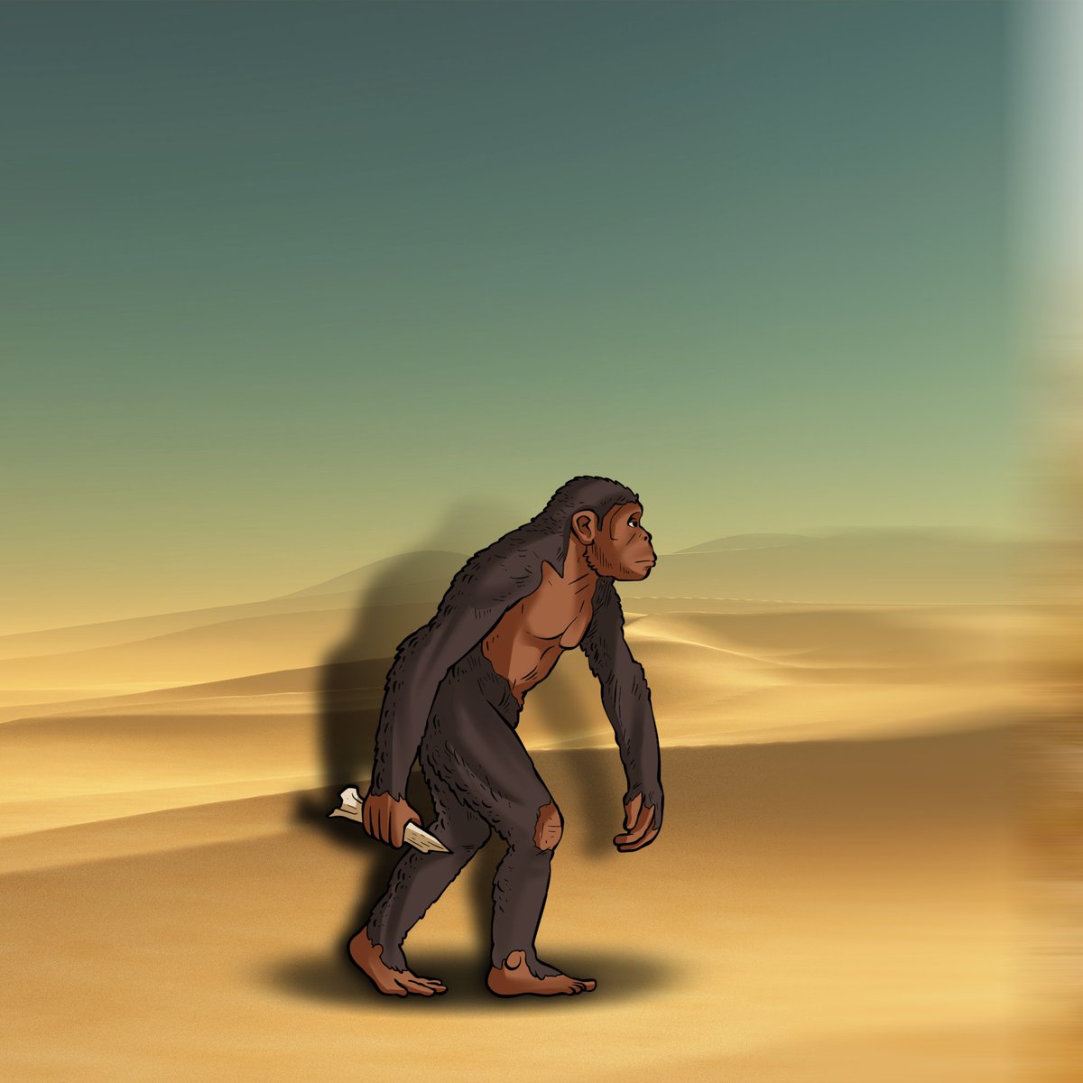 Red Chain Culture tweet media