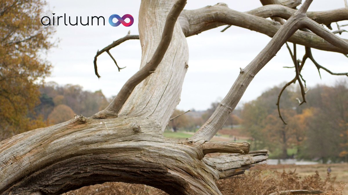 Airluum's tweet photo. A thought for you today from Marcus Garvey, Jamaican-born activist, journalist and orator, who once said:

“A people without the knowledge of their past history, origin and culture is like a tree without roots.”

#familyhistory  #family #memories  #ancestry https://t.co/YrTX4MFQFi