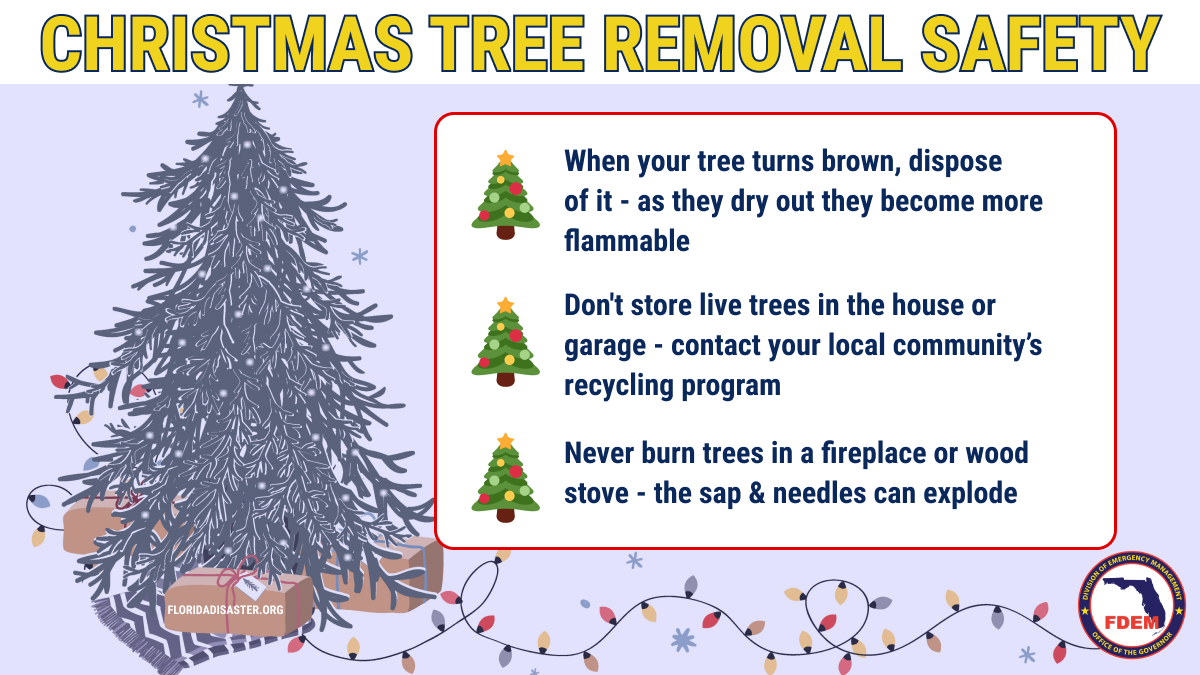 Putting the Christmas tree up is more fun than taking it down. However, the longer a tree stays up, the greater its fire hazard. 🌲 When your tree turns brown, dispose of it 🌲 Don't store live trees in the house or garage 🌲 Never burn trees in a fireplace or wood stove