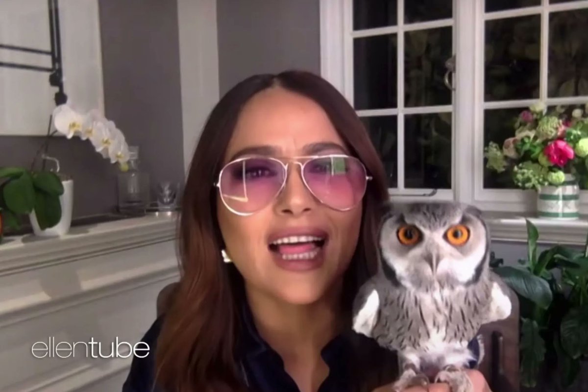 fashionastro's tweet photo. I was watching some videos of Salma Hayek with her pet owl. Then later realised she has moon in Uttara Bhadrapada, which is the birth nakshatra of goddess Lakshmi. An owl is the Vahana or the vehicle of Goddess Lakshmi. 🦉 https://t.co/0gqfkAHrxM