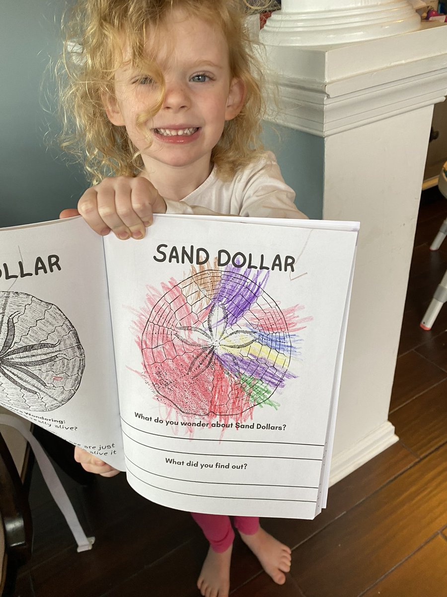 kcollazo's tweet image. 😍 Is this not the most beautiful #SandDollar you’ve seen?!

🪼Love when I get pics of #EmersynBlake’s Coloring and Wonderings Book in the hands of sweet kids!

#MadeMyDay #STEM #amwriting 

collazocove.com/books