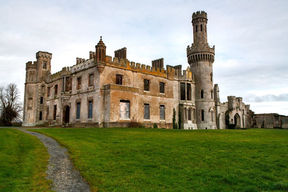 HoganSOG's tweet image. Ducketts Grove, Carlow, Ireland. NMP.